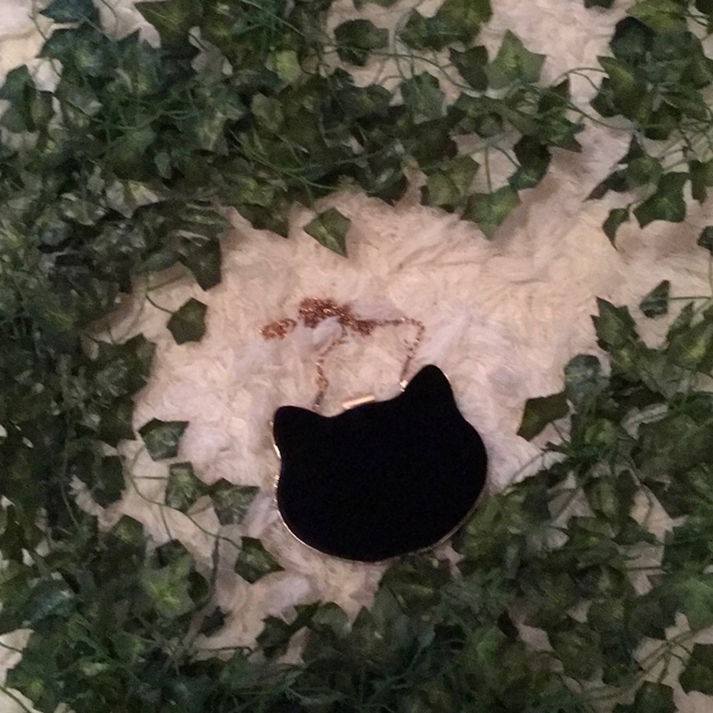 🐱Black cat crossbody crushed velvet purse🐱